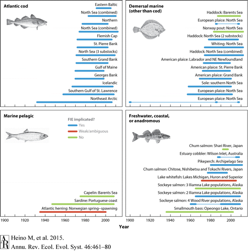 Evidence for fisheries-induced evolution: research shows fisheries-induced evolution in many fish populations, including marine and freshwater species. (Credit: Heino & Dieckmann, 2015)