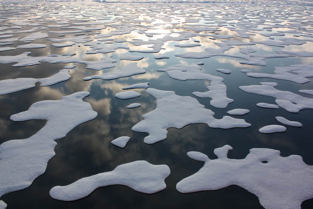 Melting sea ice in the Arctic, during a 2011 research cruise. Credit: NASA Goddard Space Flight Center 