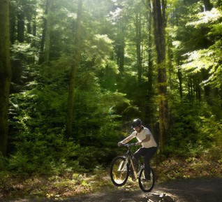 Recharge.green: What’s a forest worth?