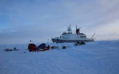 Interview: The Arctic is closer than you think