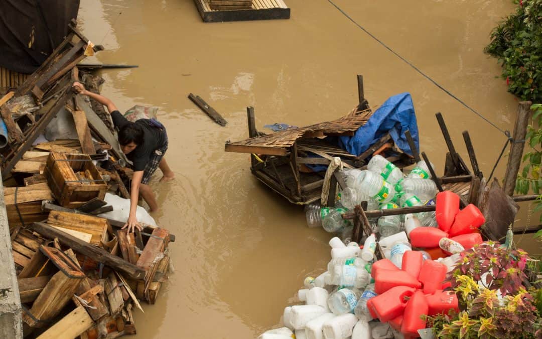 Systems analysis for risk and resilient development