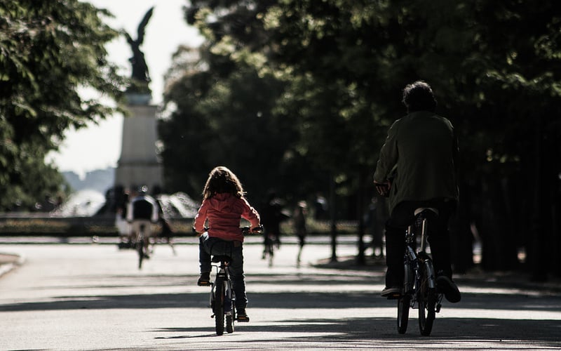 What is the optimal fertility rate?