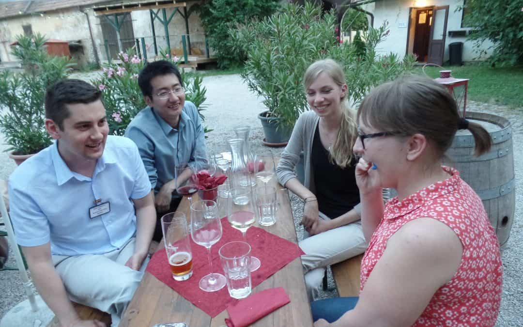 Crossing tribal lines: Interdisciplinary cooperation in IIASA’s YSSP
