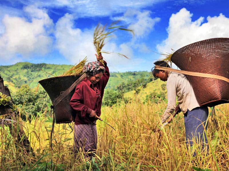 Pessimism is not an option: The road to sustainable development