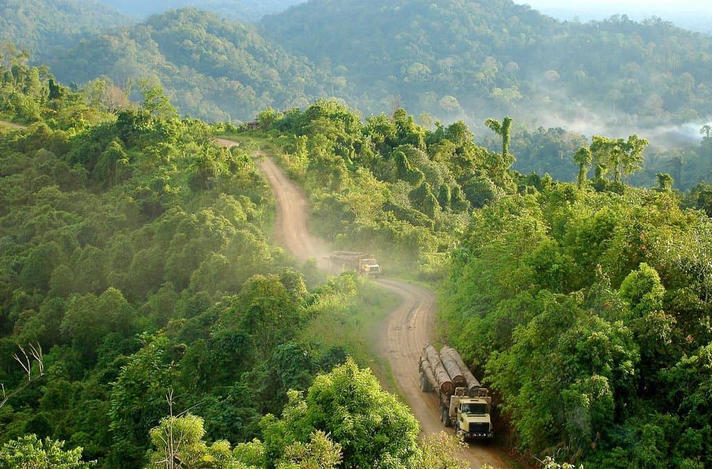 South-south cooperation for healthy, productive and sustainably managed forests