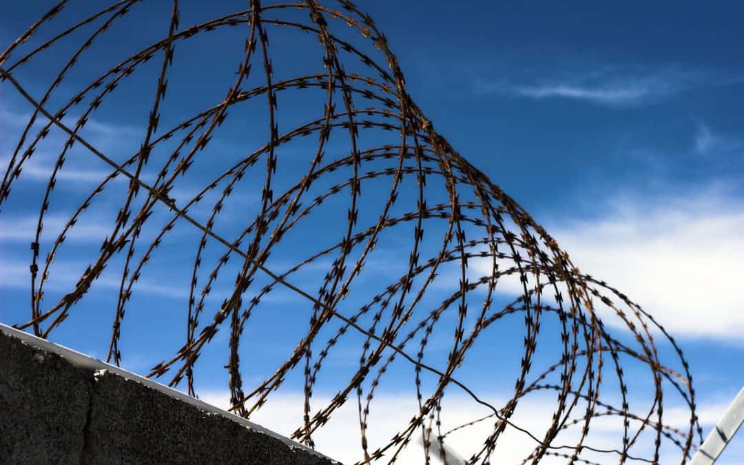 Education and crime in South Africa