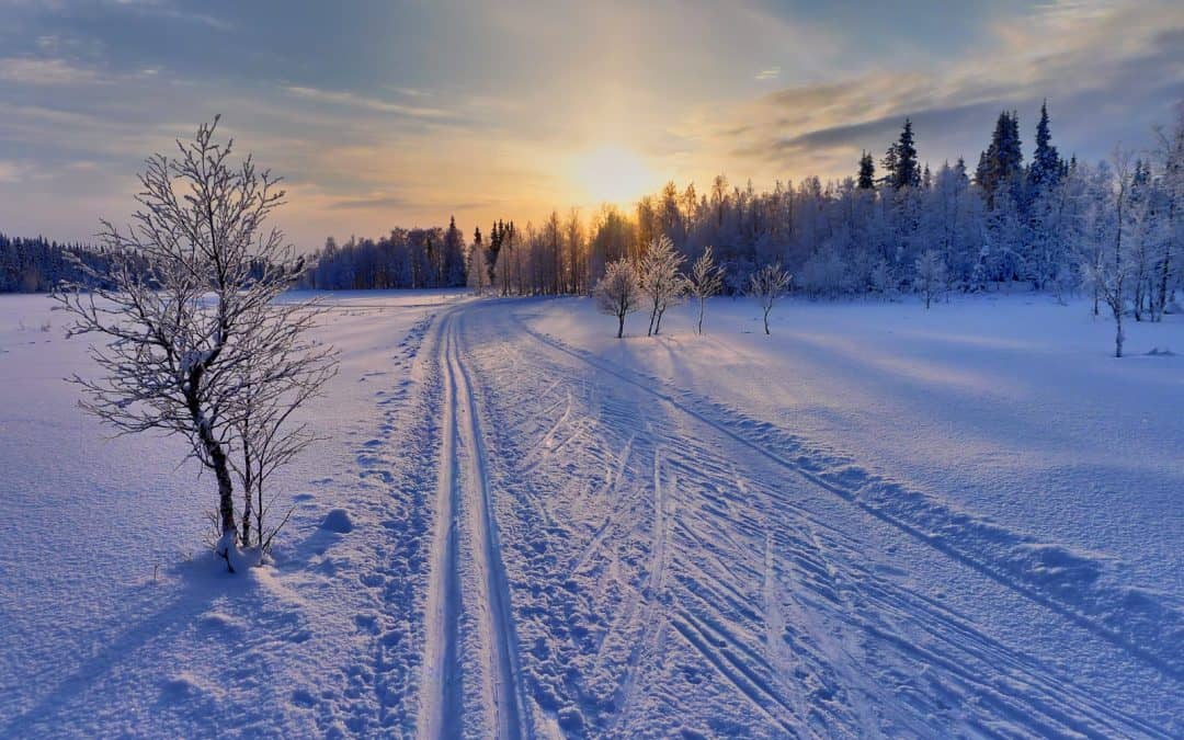 Cross-country skiing in Finland: An endangered tradition?