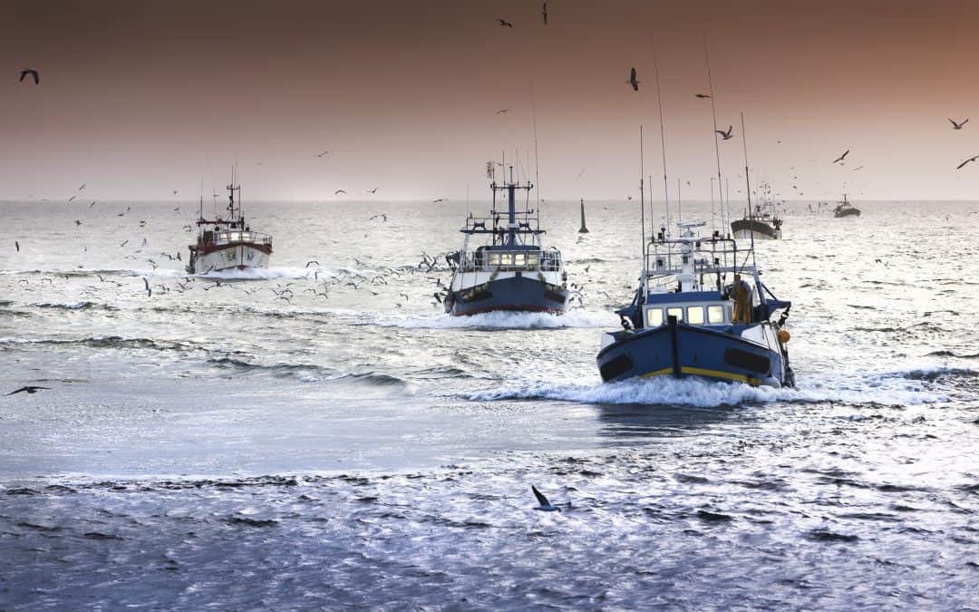 Challenges for marine decision making in the Arctic