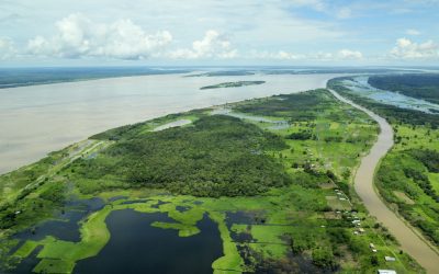 New open-source software supports land-cover monitoring