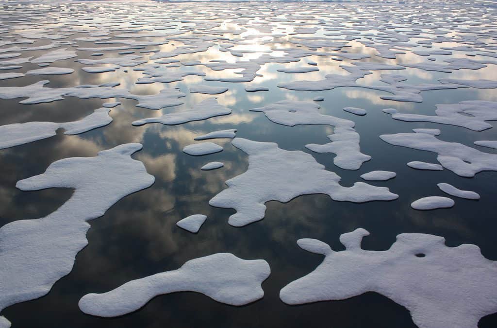 Arctic in the spotlight