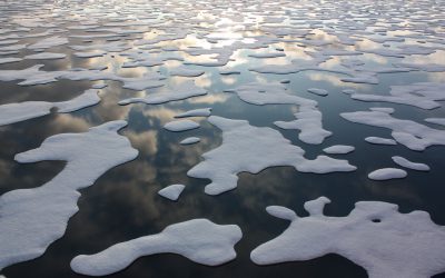 Arctic in the spotlight