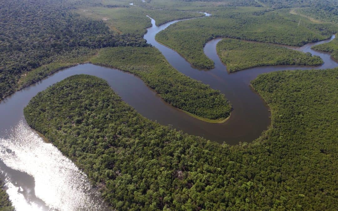 Natural regeneration for sustainable development
