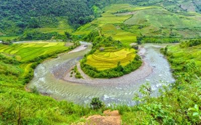 Cost effective solutions to manage nutrient pollution in the Yangtze