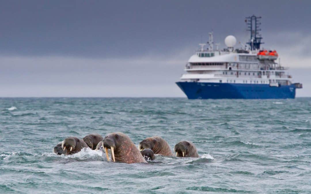 What would an oil spill mean for the Arctic?